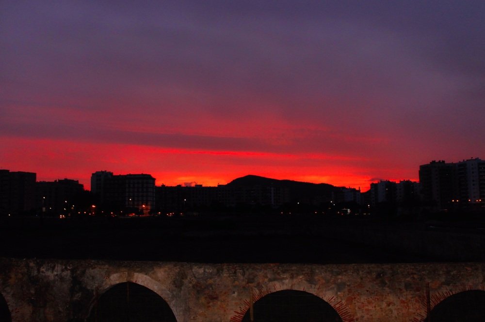 Photograph by Francisco Ferreira