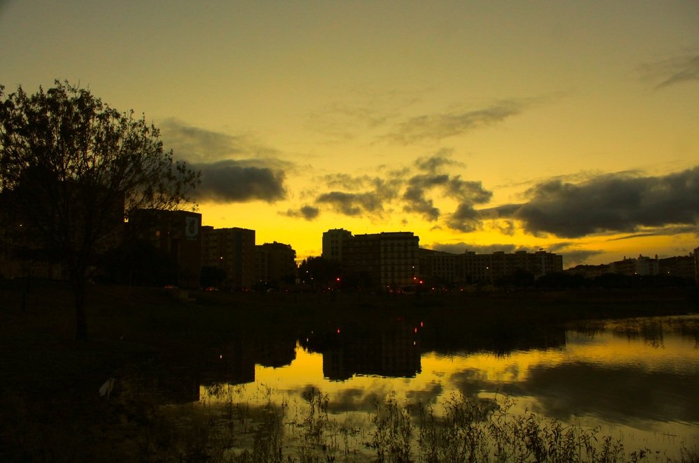 Photograph by Francisco Ferreira