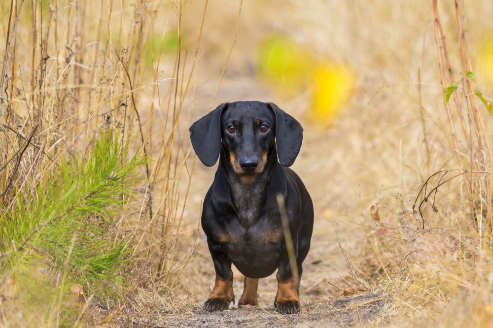 Photograph by Дмитрий Тимин