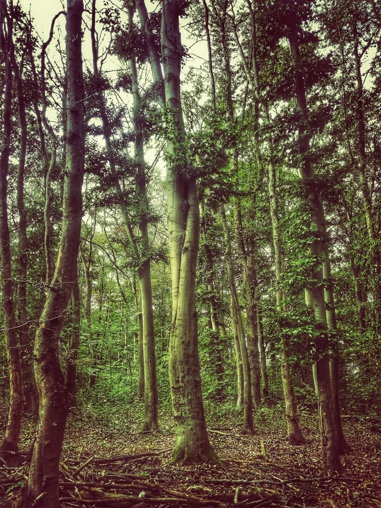 Photograph by Yana Kutateladze