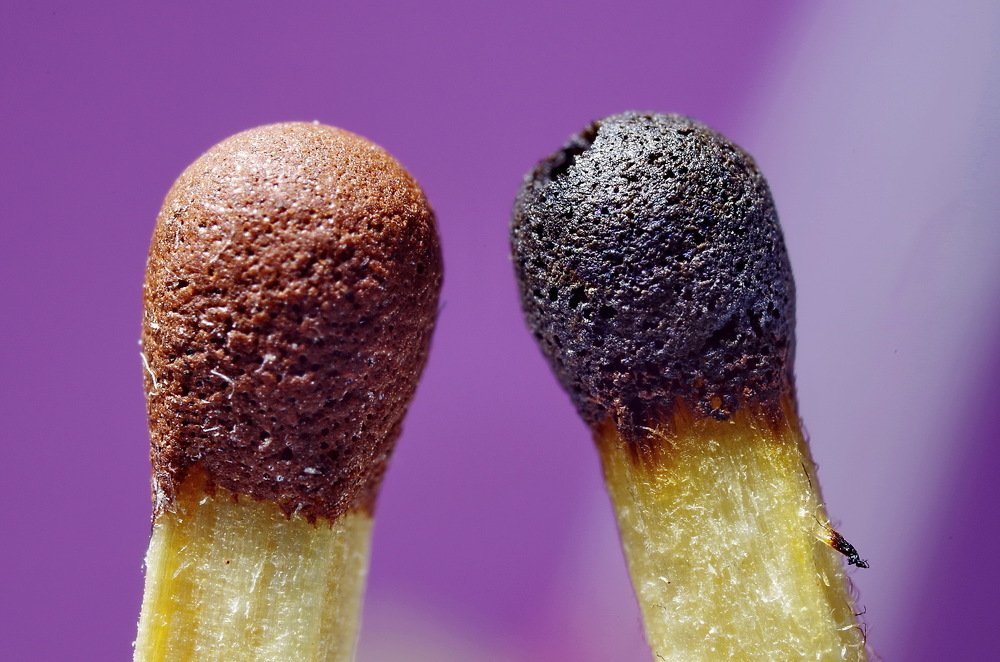 Photograph by Александр Шумаков