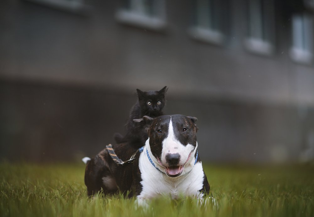 Photograph by Anna Yarkova