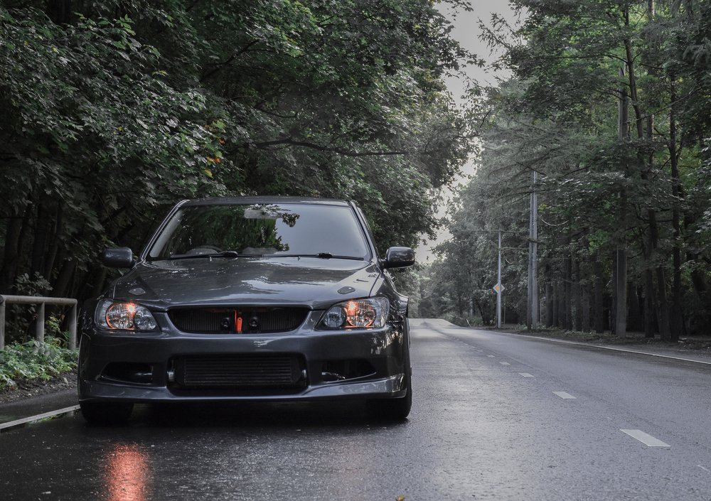 Photograph by Olga Yankus