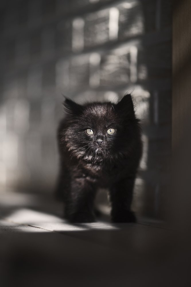 Photograph by Anna Yarkova