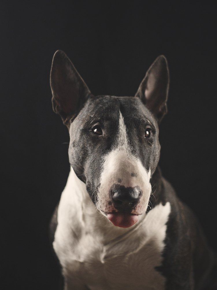 Photograph by Anna Yarkova