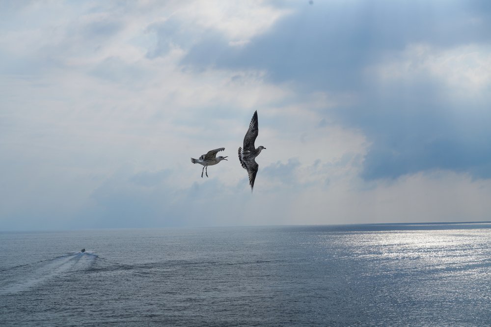 Photograph by Дмитрий Вербицкий