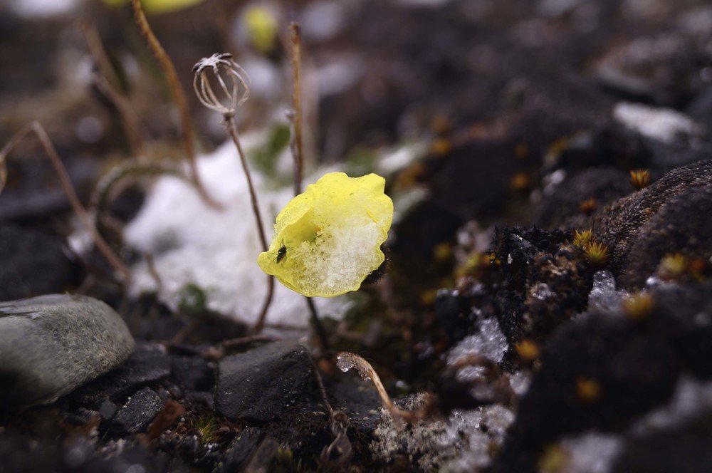 Photograph by Алексей Логинов