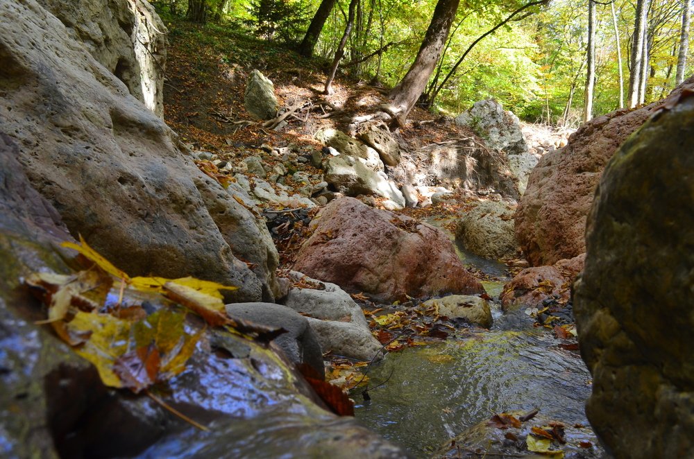 Осенний ручей