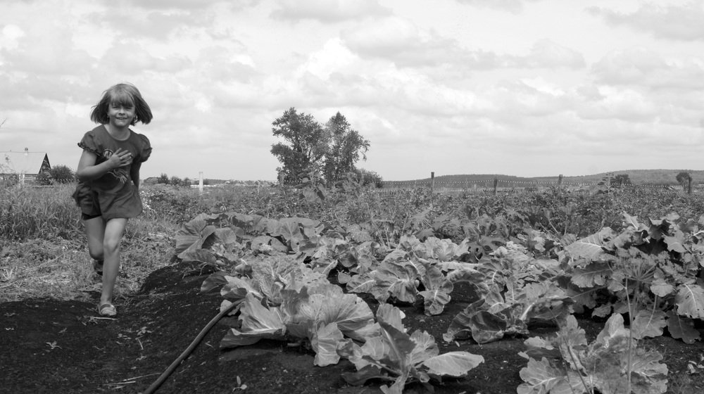 Photograph by елена кузьмина