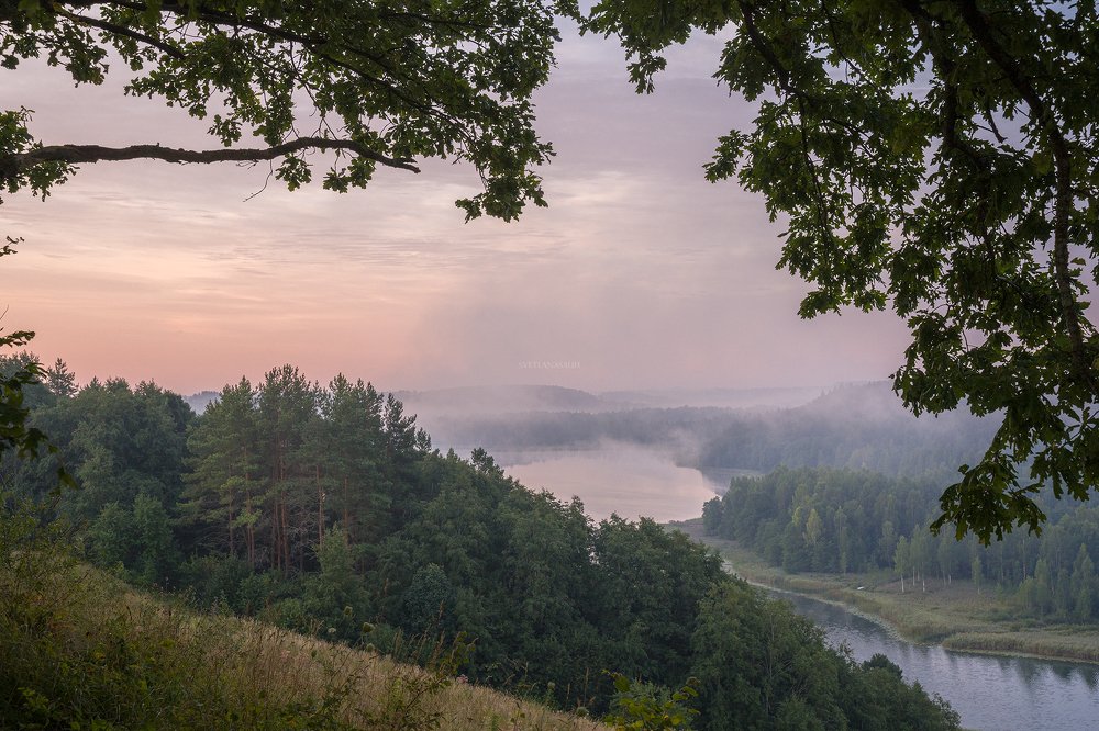 Photograph by Светлана