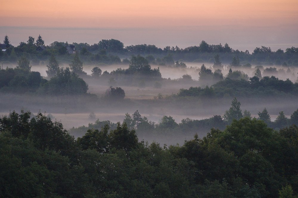 Photograph by Светлана