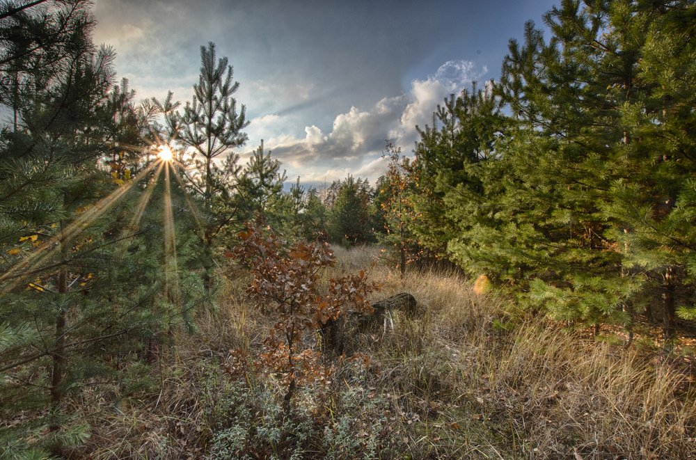 Берендеево царство