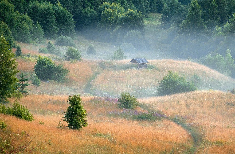 Photograph by Светлана