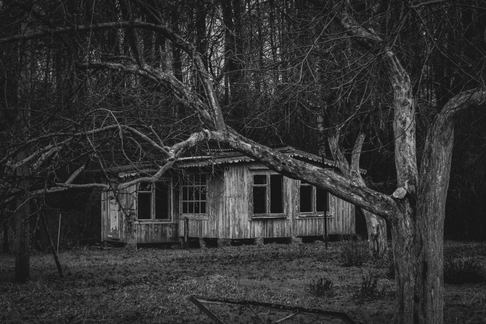 Photograph by Иван Григорьев