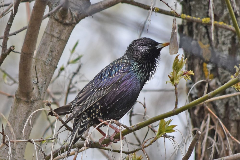 Photograph by Илья Тюрин