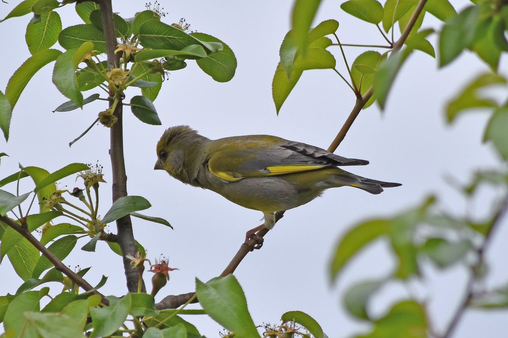 Photograph by Илья Тюрин