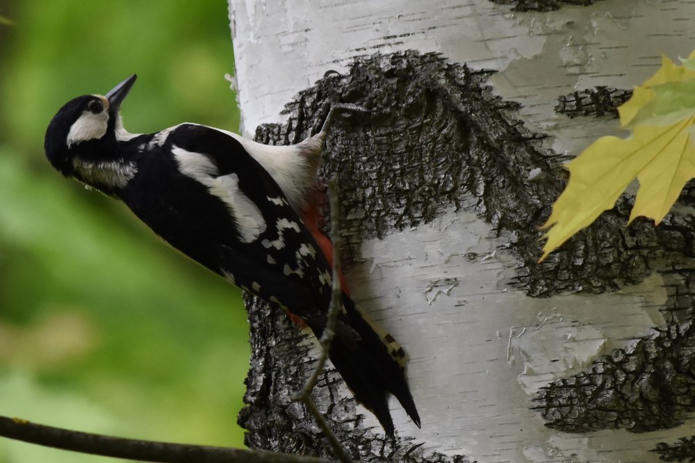 Photograph by Илья Тюрин