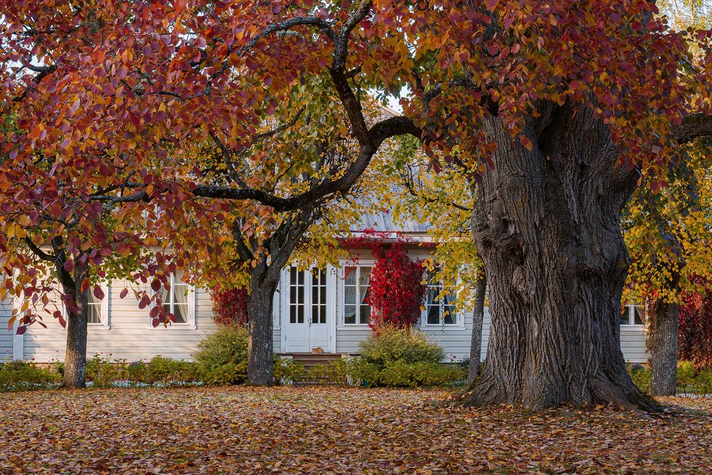 Photograph by Светлана