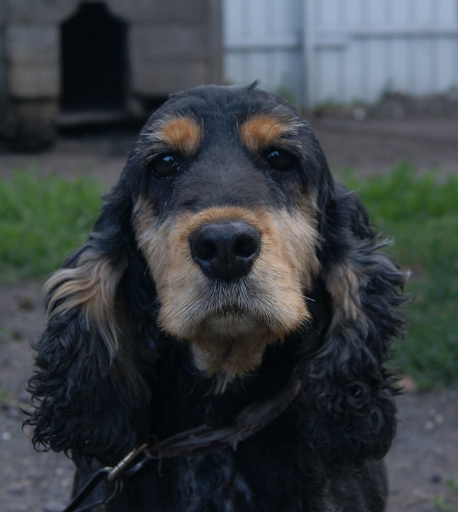 Photograph by елена кузьмина