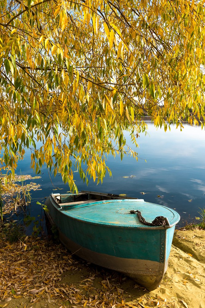 Photograph by Фарида Рахимова