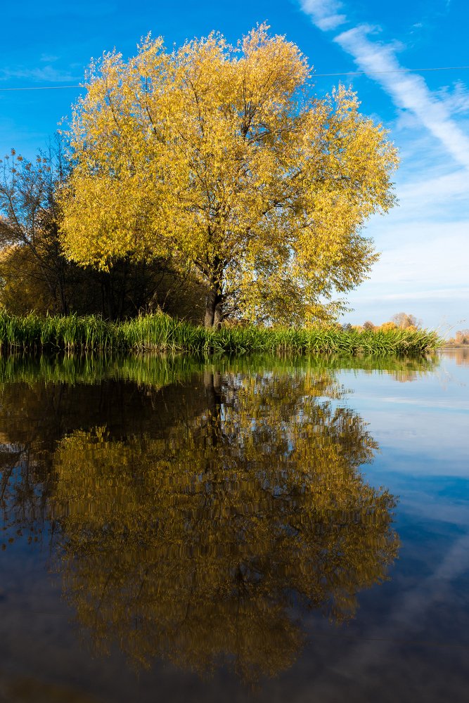 Photograph by Фарида Рахимова