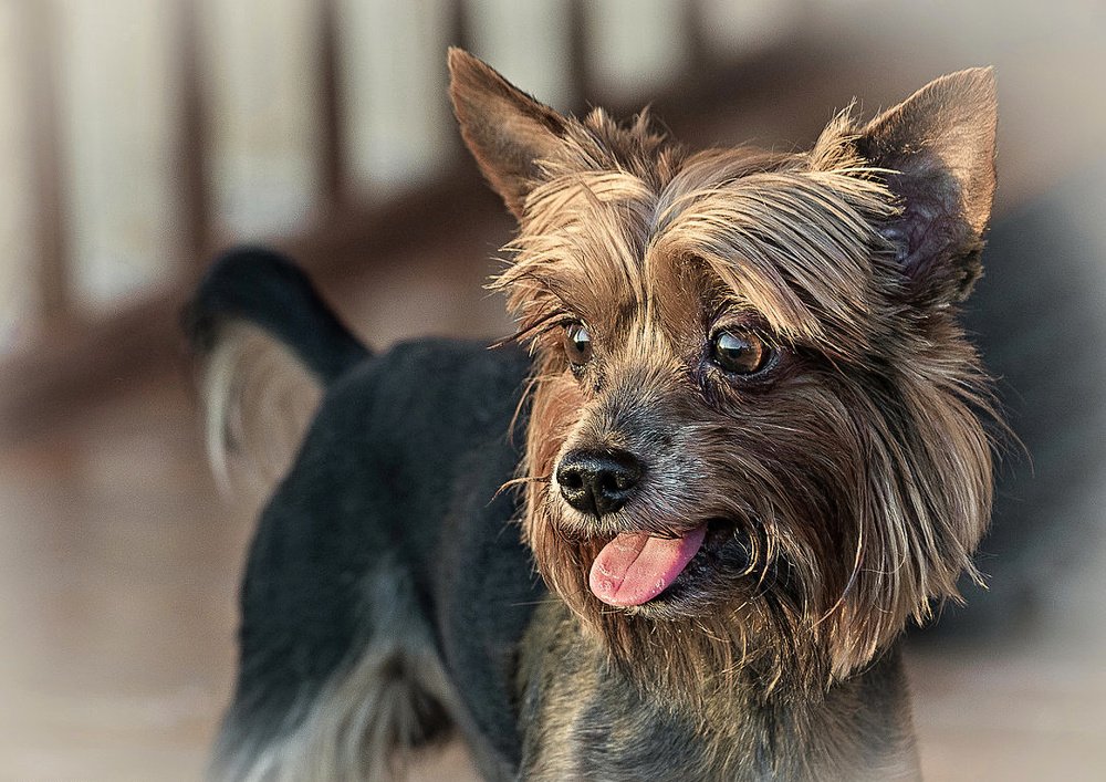 Photograph by Сергей Басов