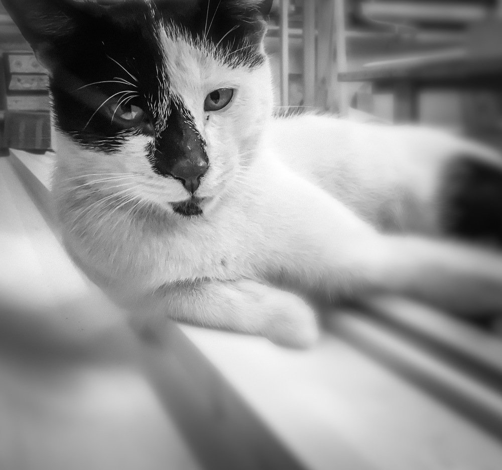 Фотография автора Sergey Sokolovsky