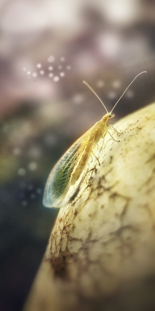 Photograph by Юлия Марфонова