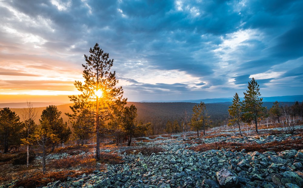 Photograph by Andrey Chuntomov