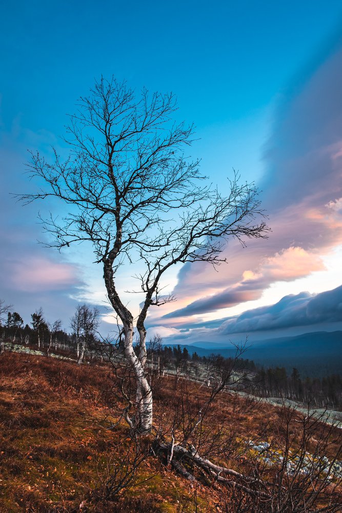 Photograph by Andrey Chuntomov