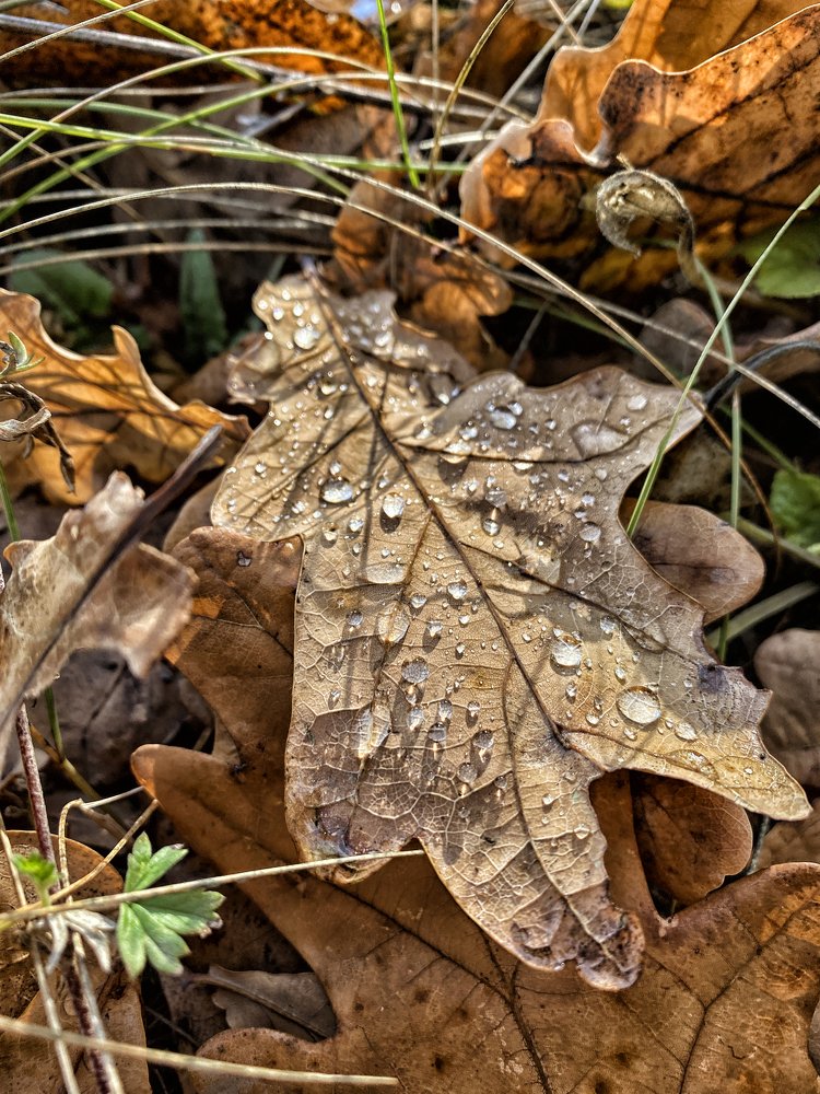 Photograph by Мари Полищук