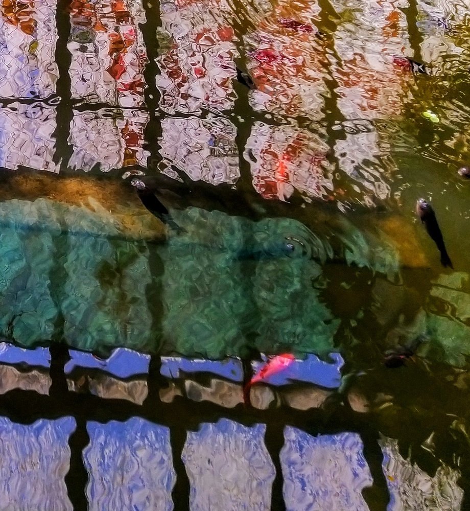 Photograph by Анна Матецкая