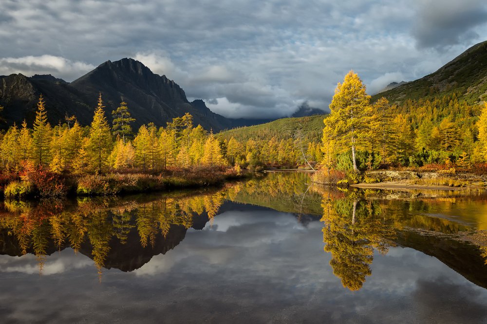 Отражение Невидимки