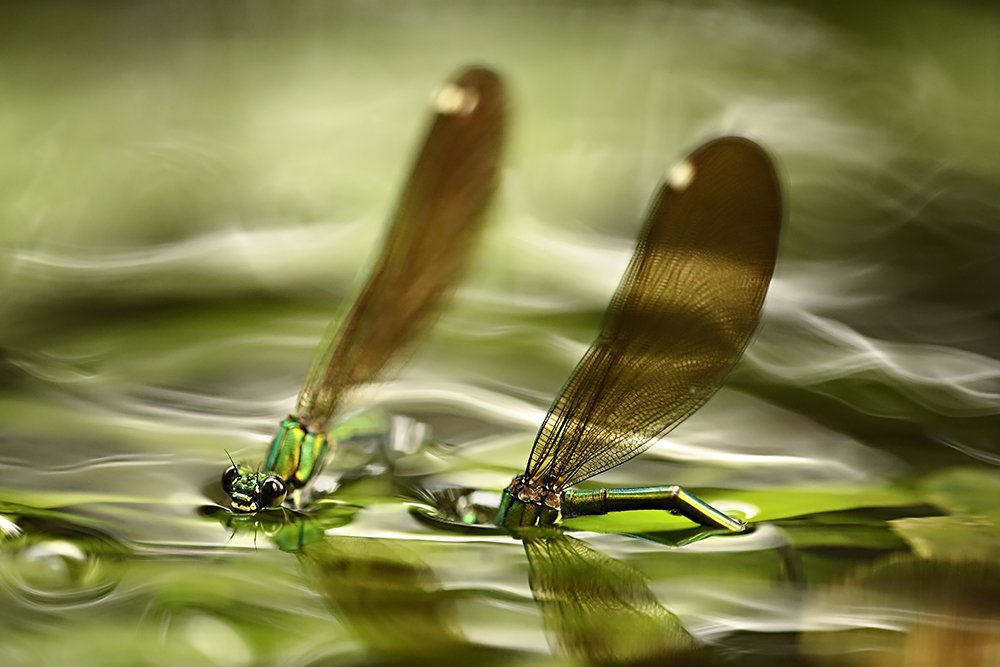 Photograph by Rubén Pérez Novo