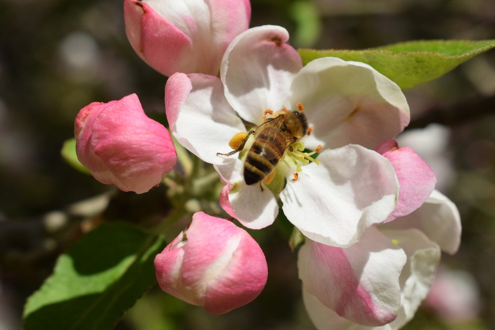 Photograph by Laila Ditmane