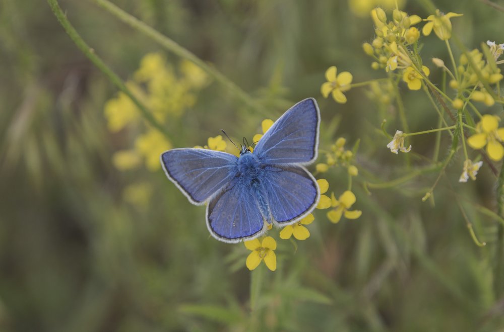 Photograph by Светлана Мельник