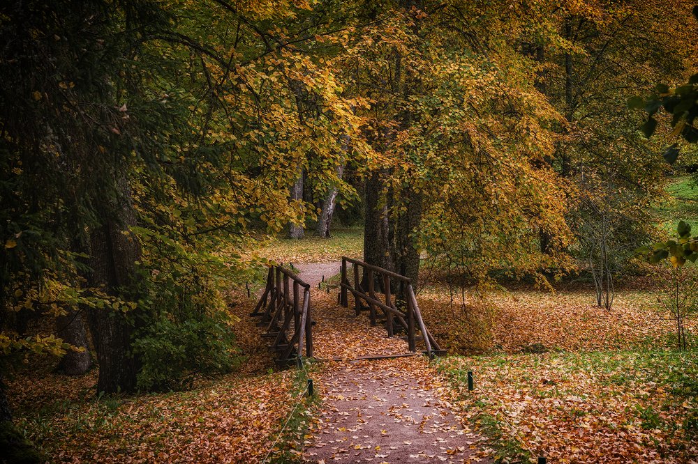 Photograph by Светлана