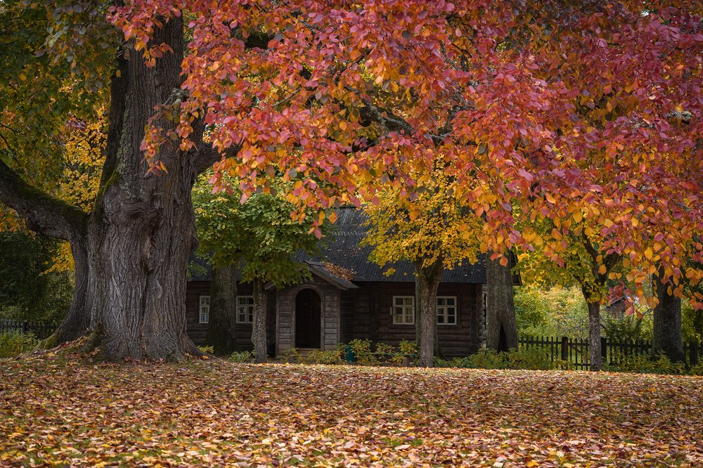 Photograph by Светлана