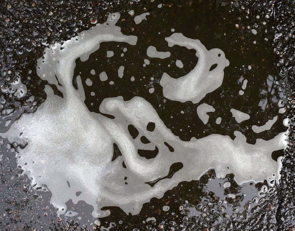 Photograph by ПОЛУЕВ ИЛЬЯ