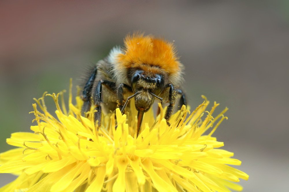 Photograph by Игорь Осипов