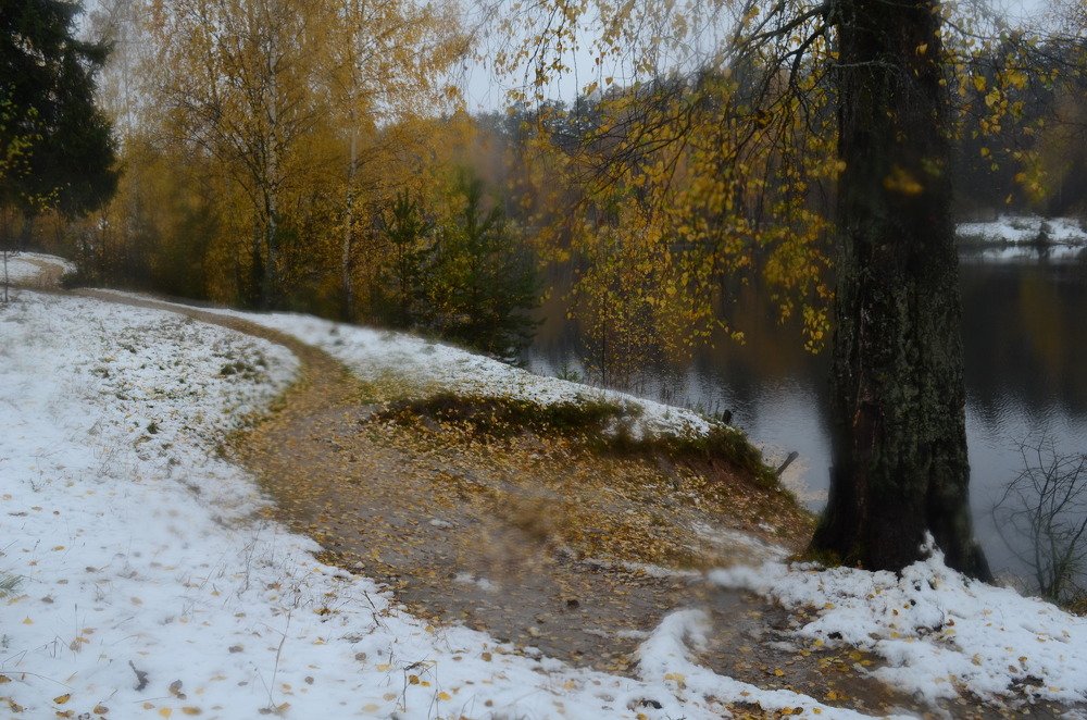 the surprises of autumn