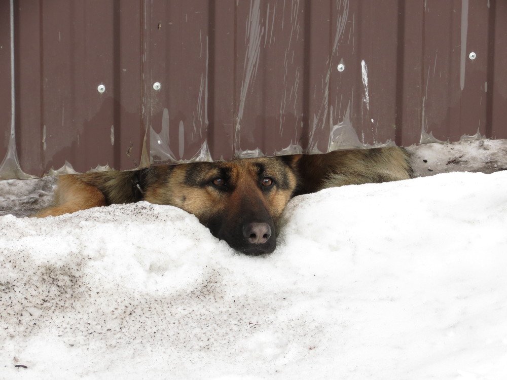 Photograph by Иван Скрипкин