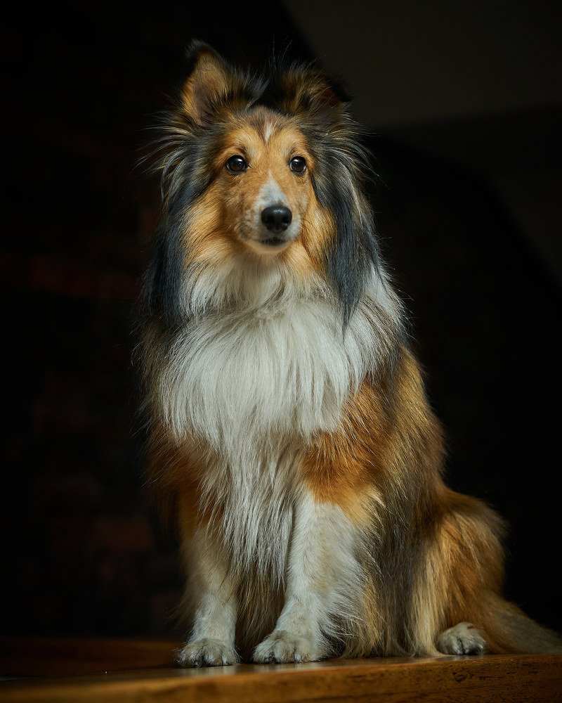 Photograph by German Dario Escobar Alvarez