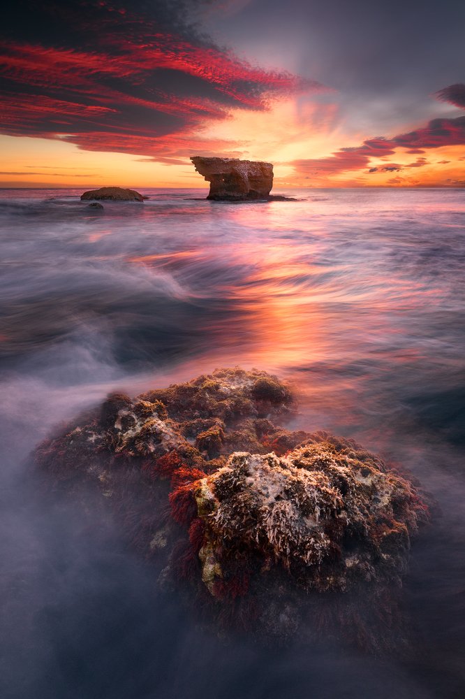 Photograph by Camacho Anto