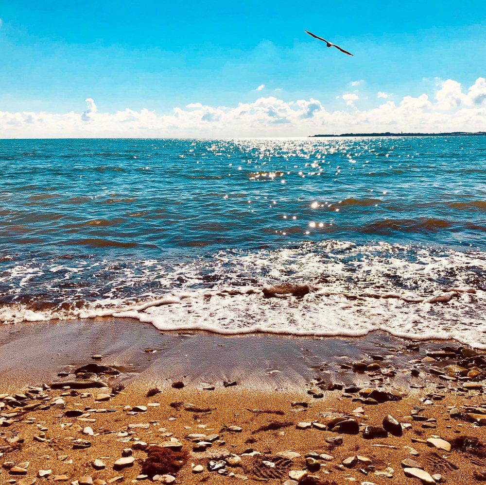 Photograph by Николай Поляков