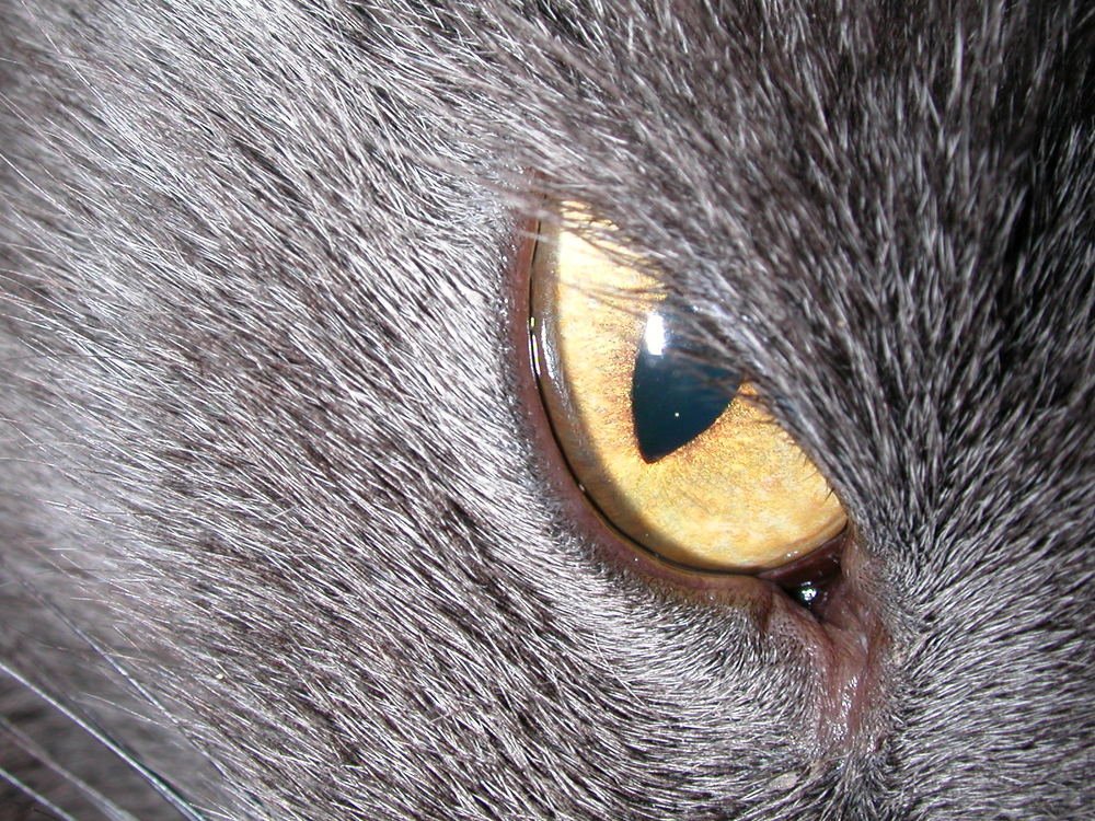 Photograph by Наталья Жигарева