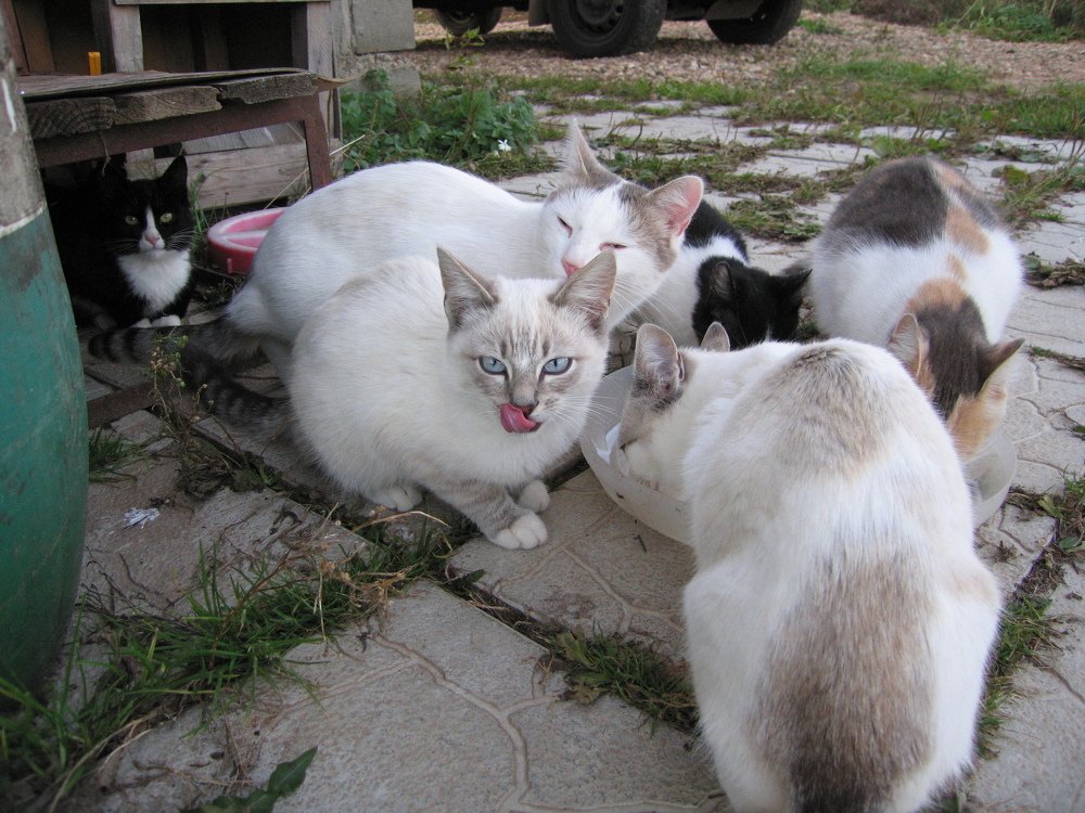 Photograph by Наталья Жигарева