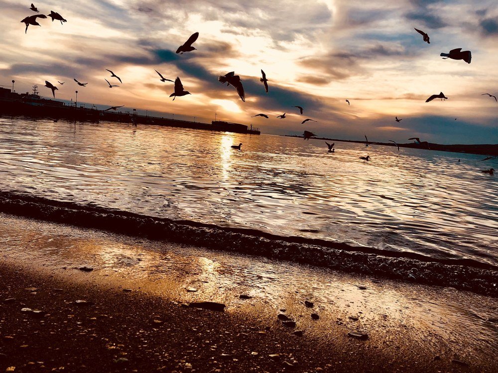 Photograph by Николай Поляков