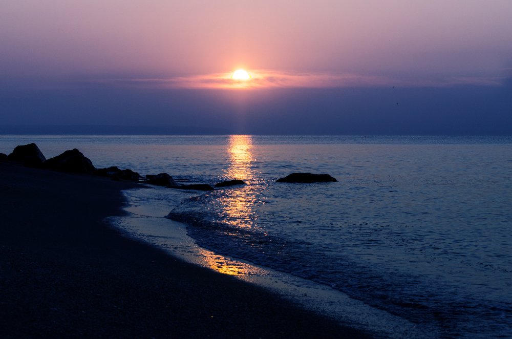 Photograph by Анна Айбетова