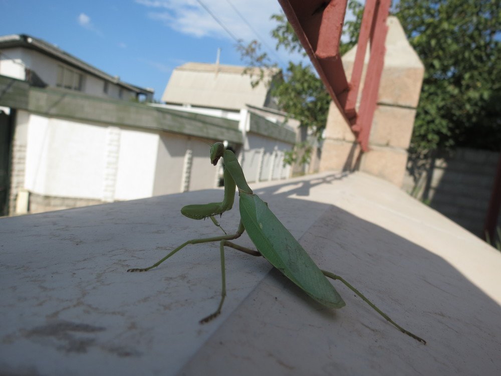 Photograph by Иван Скрипкин